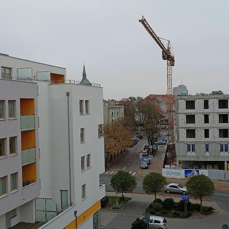 Apartament Fala-Miodowy Dom 코워브제크 외부 사진